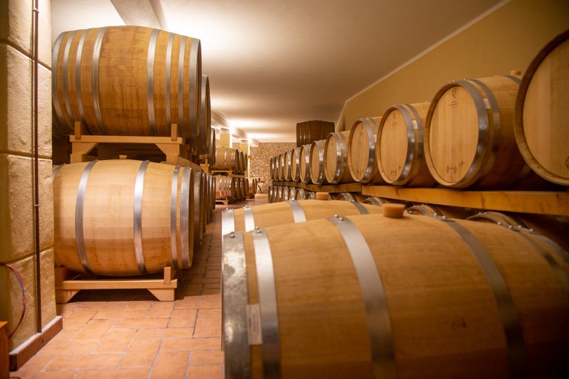 Winery Cellar