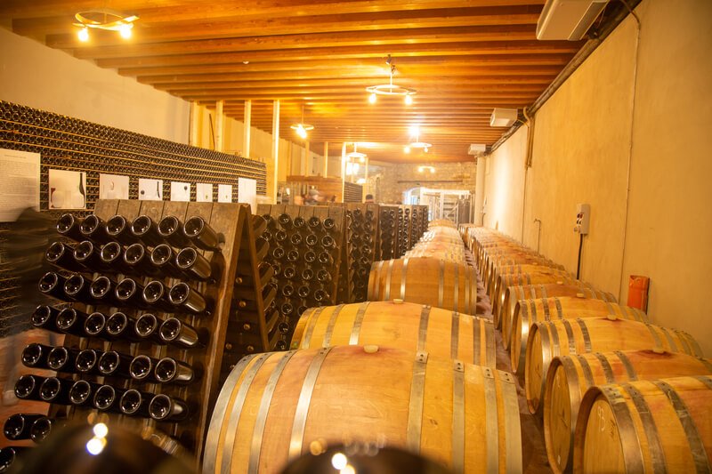 Wine Cellar