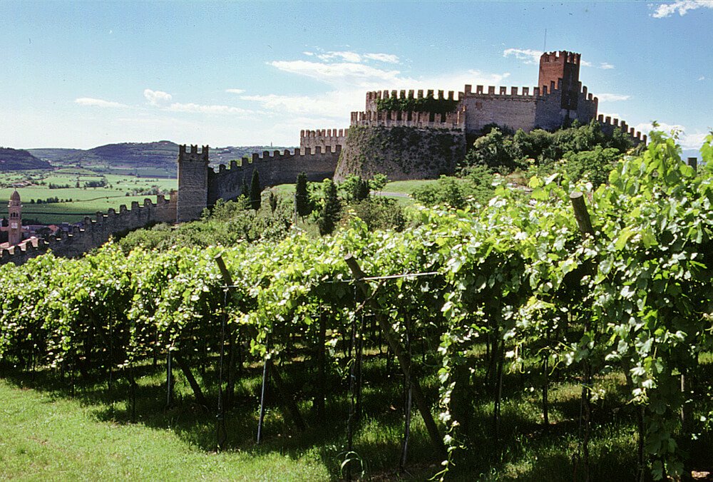 Soave