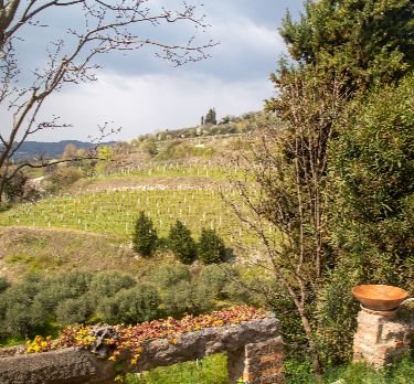 valpolicella 5