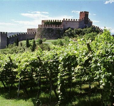 soave castle